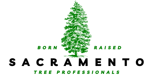 Sacramento Tree Services